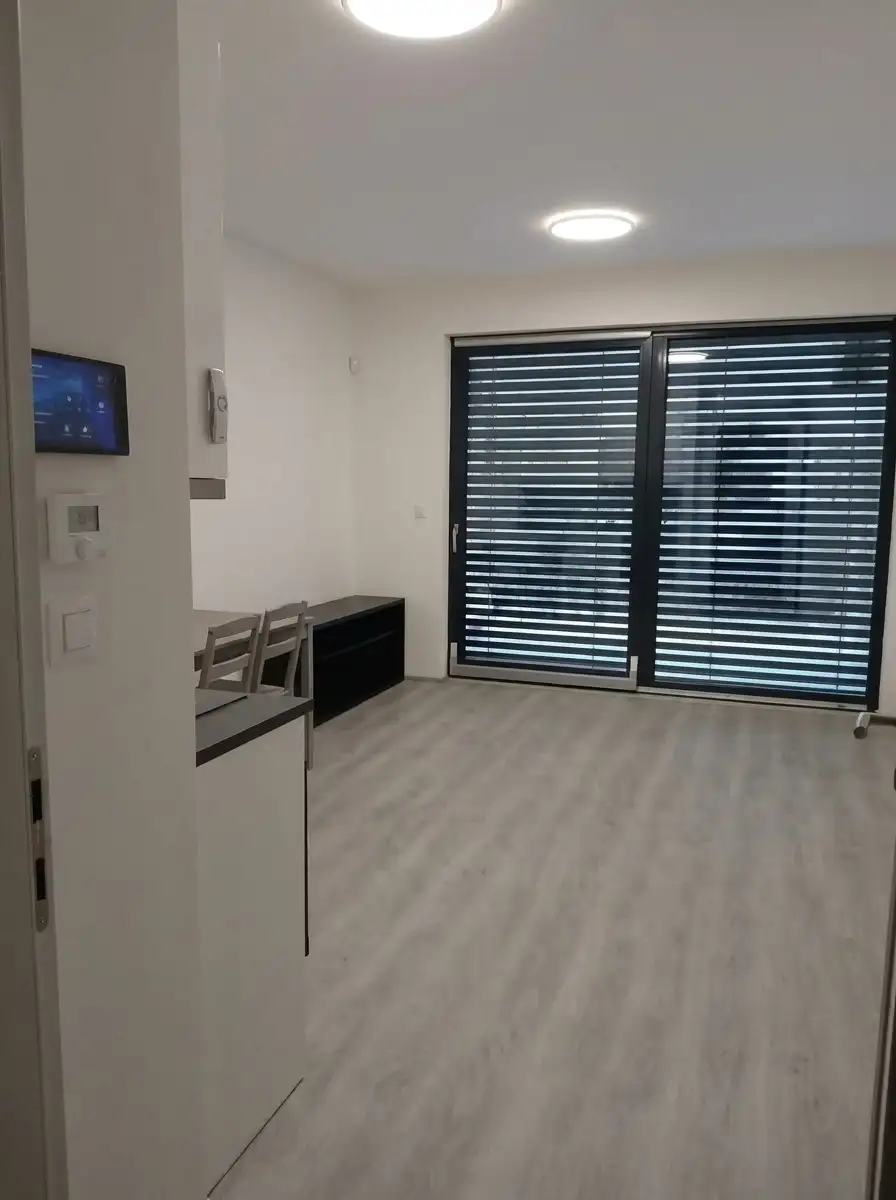 🏡 Pronájem bytu 1+kk, 29 m² – Žižkov