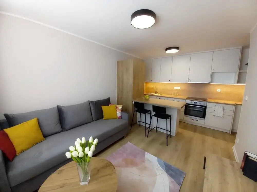 Pronájem bytu 2+kk 40 m² s výhledem do parku, Mečíková, Praha – Záběhlice