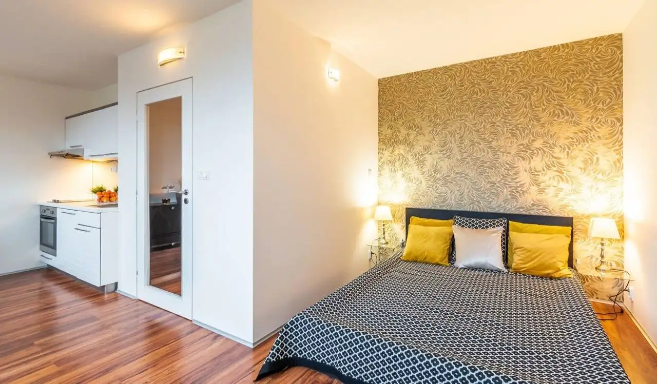 Pronájem bytu 1+kk 30 m², Molákova, Praha-Karlín