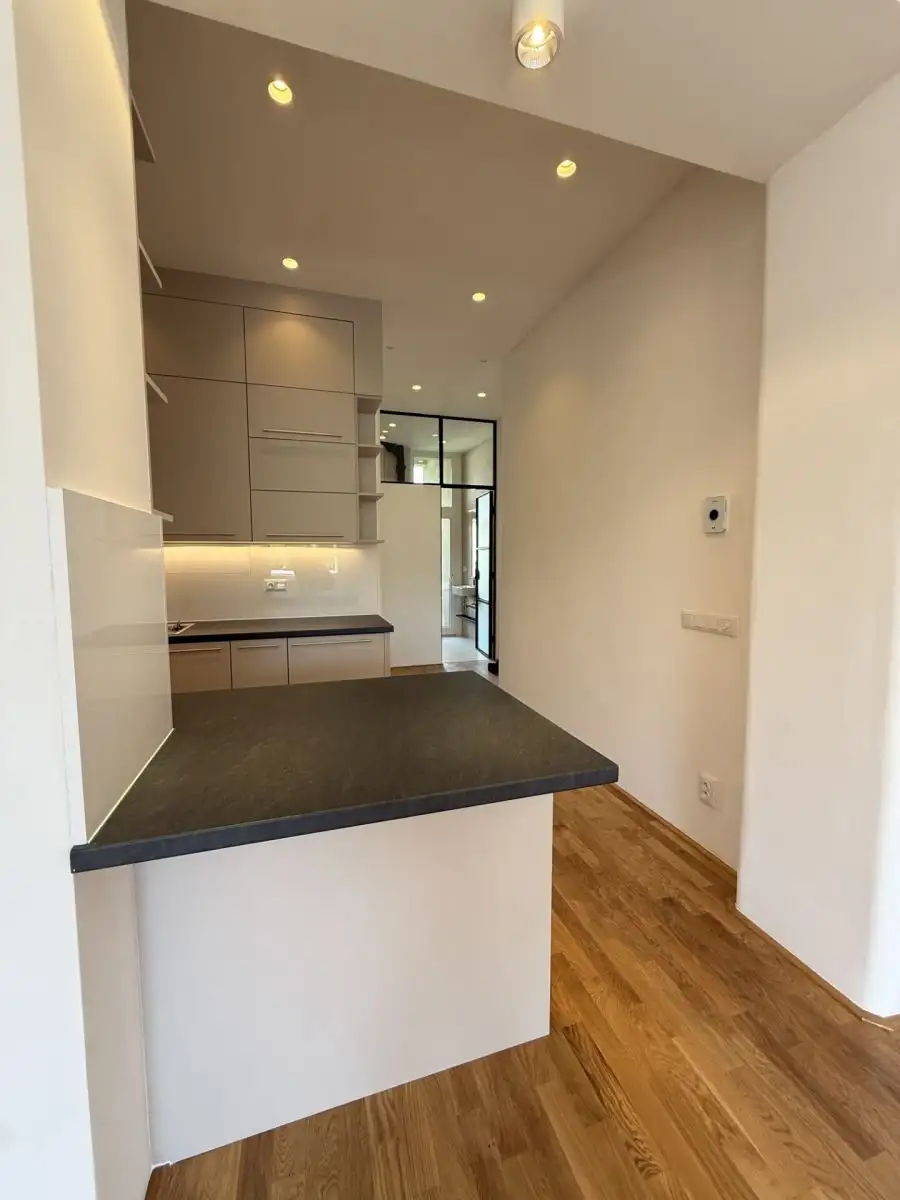 Pronájem bytu 2+kk 55 m², Praha - Podolí, Vodárenská